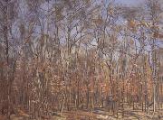 Ferdinand Hodler The Beech Forest (nn02) china oil painting reproduction